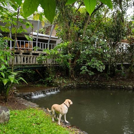 Rancho Margot Sustainable & Self Sufficient Eco Lodge El Castillo Extérieur photo