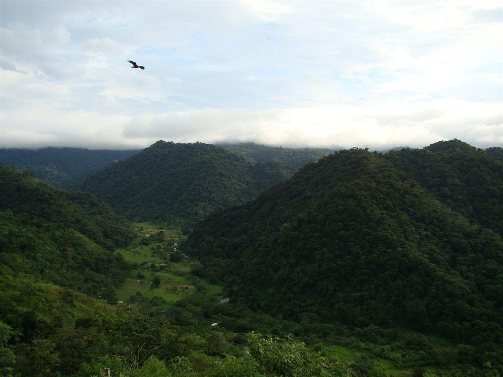 Rancho Margot Sustainable & Self Sufficient Eco Lodge El Castillo Extérieur photo