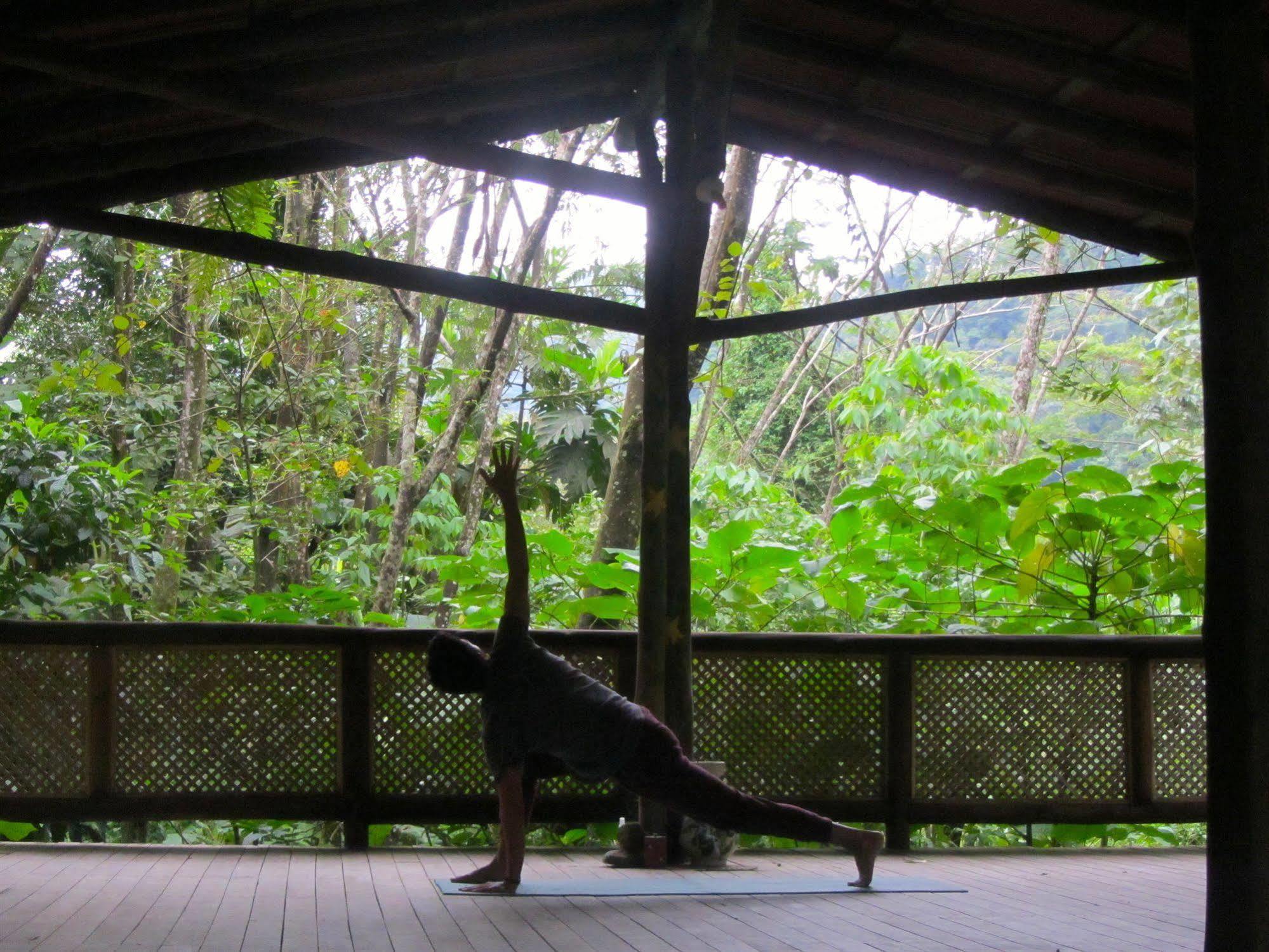 Rancho Margot Sustainable & Self Sufficient Eco Lodge El Castillo Extérieur photo