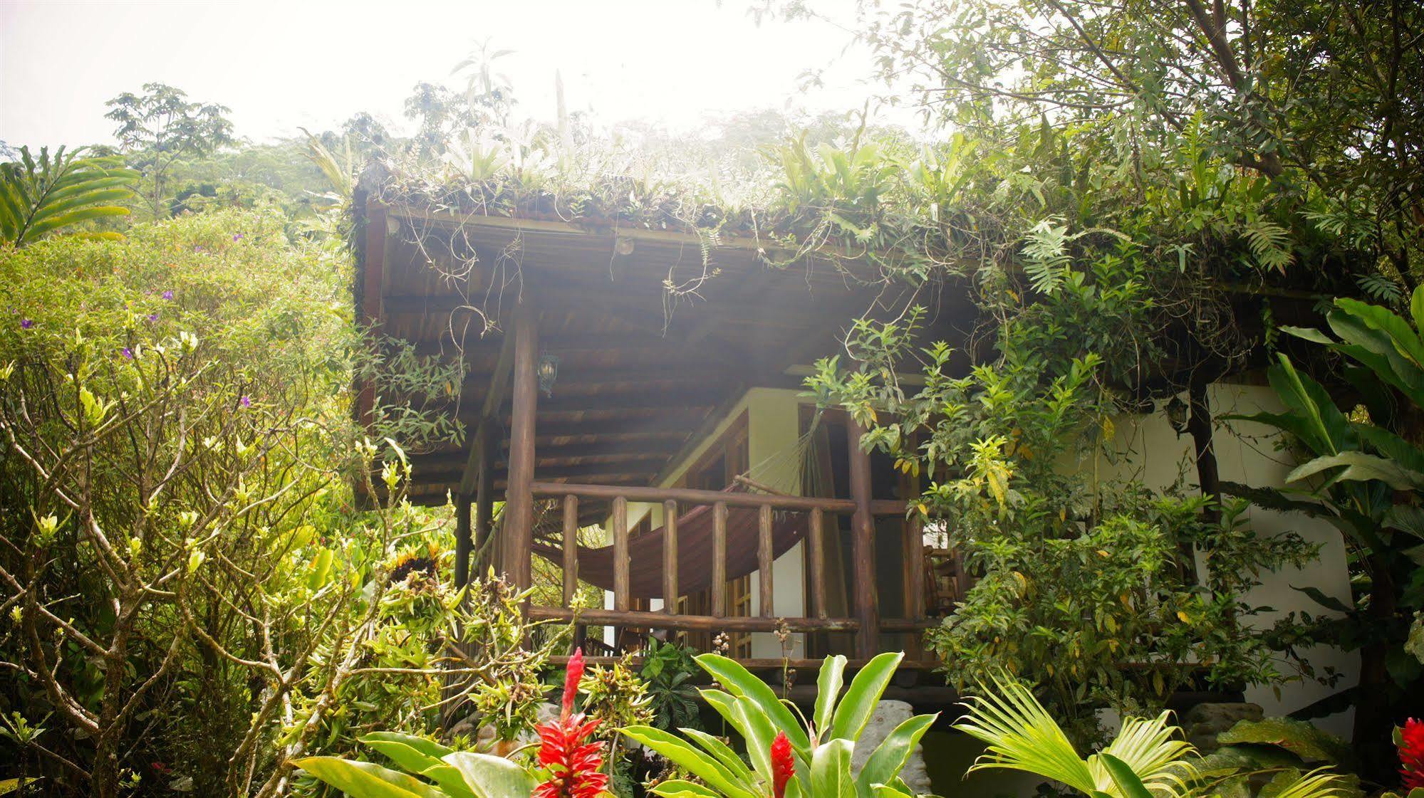 Rancho Margot Sustainable & Self Sufficient Eco Lodge El Castillo Extérieur photo